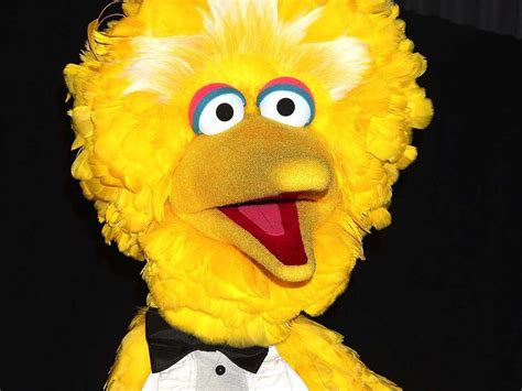 The Puppeteer Who Earned Over 300000 A Year Playing Big Bird Made 32