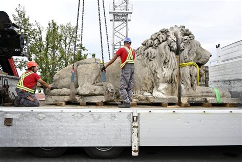 Chain Bridges Iconic Roaring Lion Statues To Be Removed For Renovation