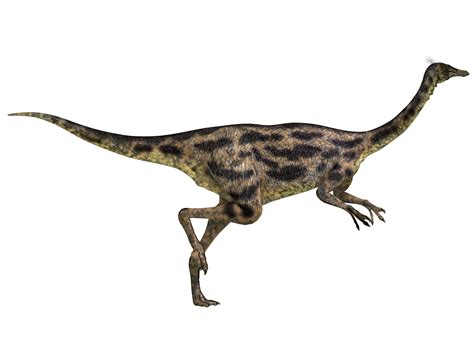 Orak arik telur ayam buncis versi #mpasibabyal13m+ #menusehat. Gambar Dinosaurus Banyak
