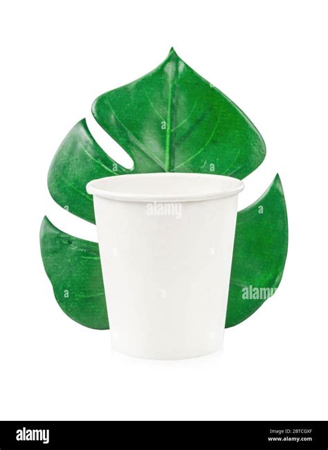 Eco Friendly Craft Paper Cup Monstera Leaf Isolated On White Background