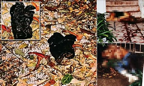 Photos of Nicole Brown Simpson murder scene shown in new OJ Simpson documentary | Daily Mail Online
