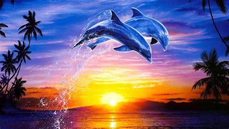 Top 999 Dolphin Wallpaper Full Hd 4k Free To Use