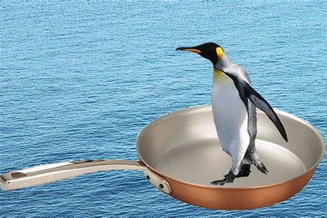 This is because larger, rounder bodies lose heat climate change global climate change may result in shifting ocean currents, rising temperatures penguins are cute and lovable. Penguins in a frying pan - CEES - Centre for Ecological ...