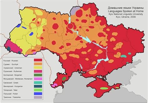 Viable Opposition The Impact Of Hostilities On Ukraines Civilians