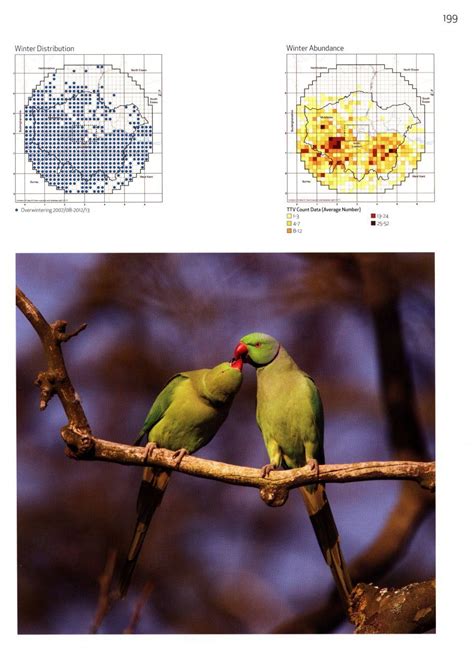 The London Bird Atlas Nhbs Field Guides And Natural History