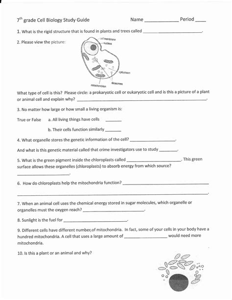 Science 5th Grade Worksheets