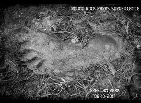 Did Texas Park Officials Release Photos Of Bigfoot Tracks Houston
