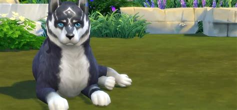 Sims 4 Wolf Feet