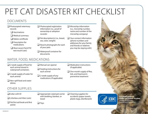 Pet Cat Disaster Kit Checklist Pet Emergency Cat Emergency Pet