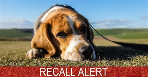 See below for details of the affected recipes. BREAKING NEWS: Major Pet Food Brand Recalls Due To ...
