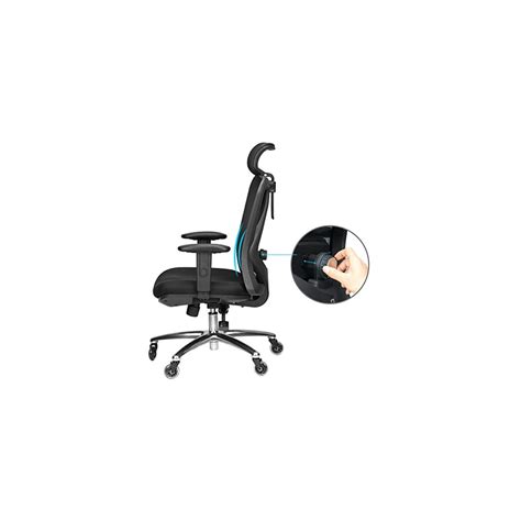 Duramont Ergonomic Adjustable Office Chair With Lumbar Support And