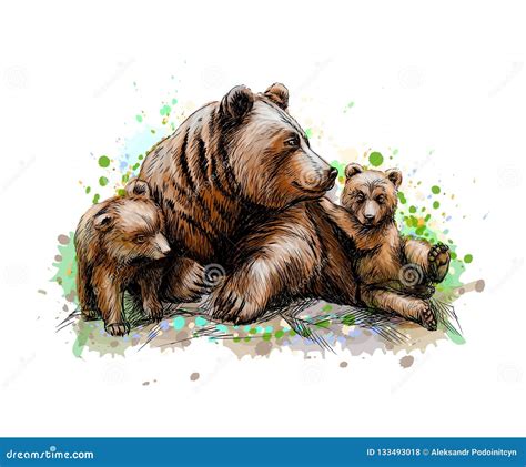 Brown Mother Bear With Her Cubs From A Splash Of Watercolor Stock