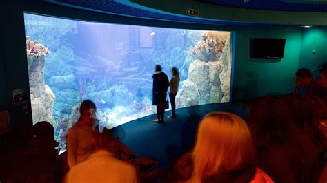 National Marine Aquarium Gbr Locations De Vacances Abritel