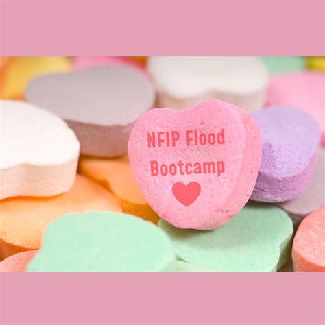 The Best Valentines T You Could Nfip Flood Bootcamp