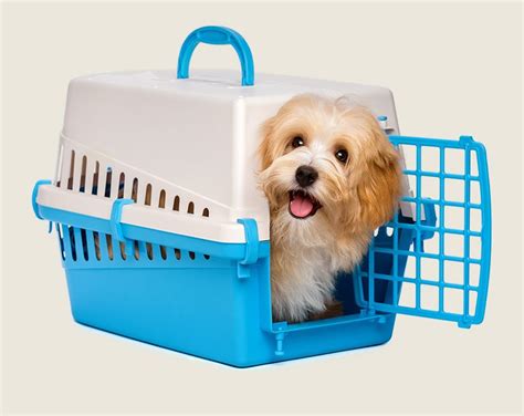 Get real pet transport cost with uship. Pet Transport - Woof Woof Walkies