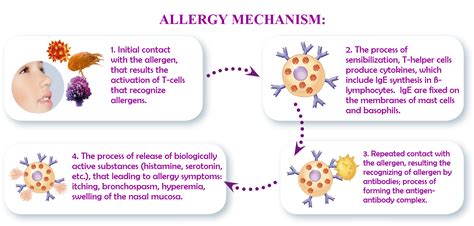 Allergy And Rhinitis