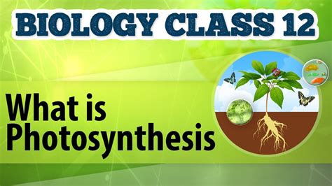 What Is Photosynthesis Photosynthesis In Plants Biology Class Youtube
