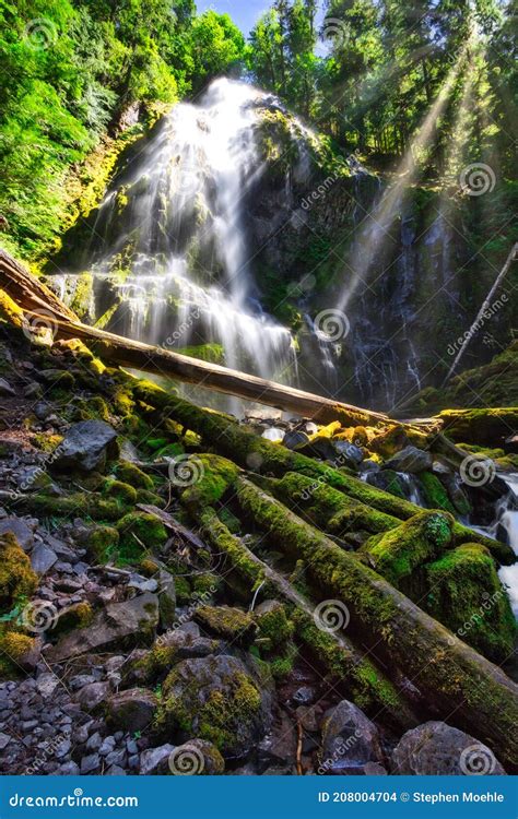 Proxy Falls Willamette National Forest Oregon Stock Photo Image Of