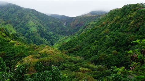 Birds Eye View Of Green Mountains Hawaii Maui Tropical Forest