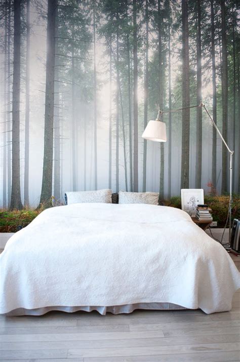 11 Forest Wallpapers That Will Breathe Life Into Your Home
