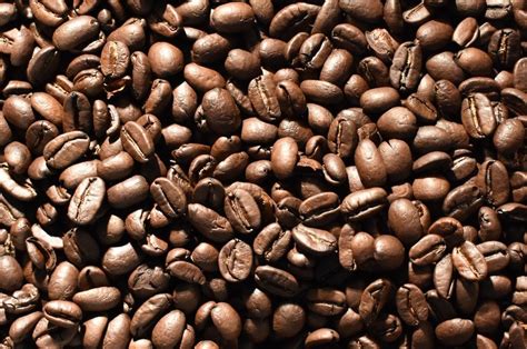 Free shipping on your first order shipped by amazon. Coffee 101: Your guide to four main types of coffee beans ...