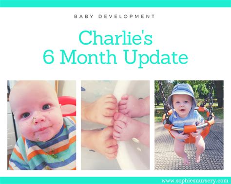 Baby Development At 6 Months Old Charlies Monthly Update Sophies