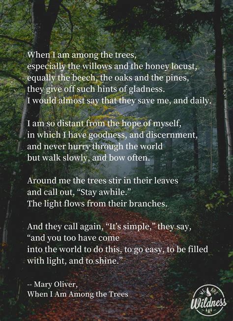 Pin By Malika Heatwole On Tree Of Life Nature Quotes Trees Nature