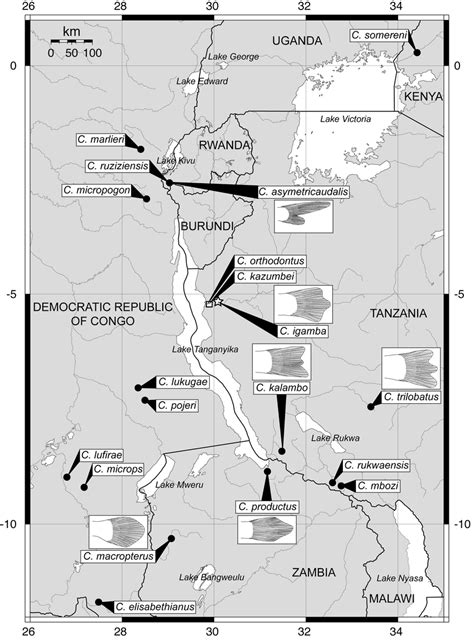 Map of lake tanganyika and surrounding region showing the distribution. Map of the general area surrounding Lake Tanganyika showing the type... | Download Scientific ...