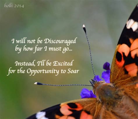 Inspirational Quotes About Butterflies Quotesgram