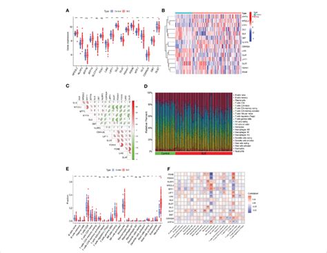 Identification Of The Expression Of CRGs And Immune Infiltration