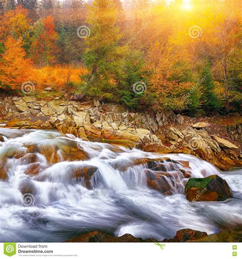 Rapid Mountain River In Autumn At Sunset Stock Photo Image Of Rock