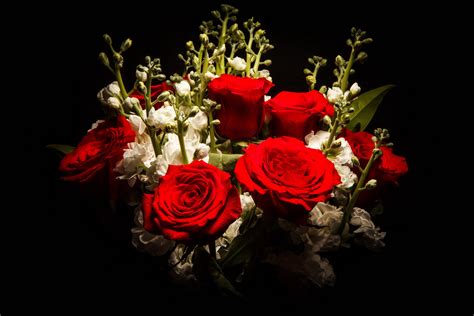 4k 5k Bouquets Roses Red Black Background Hd Wallpaper Rare Gallery
