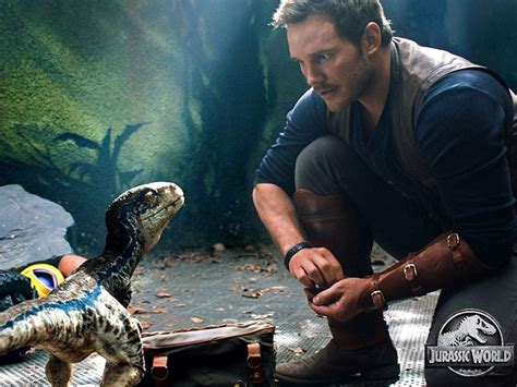Chris Pratt Owen Grad Jurassic World Dominion 2022 Ubicaciondepersonascdmxgobmx