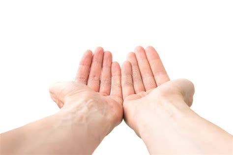 291 Two Human Hands Holding Something Stock Photos Free And Royalty