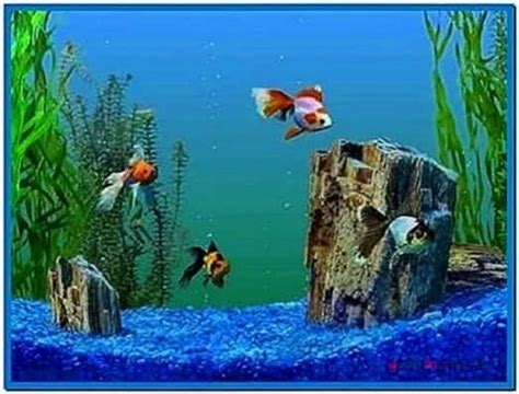 Goldfish Aquarium 3d Screensaver 102 Download Free