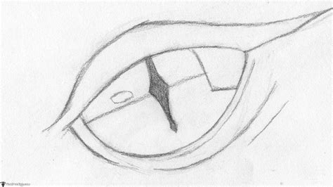 Dragon Eye Drawing Easy