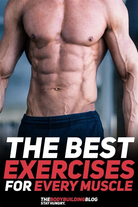15 Exercise For Each Muscle Advanced Absworkoutroutine