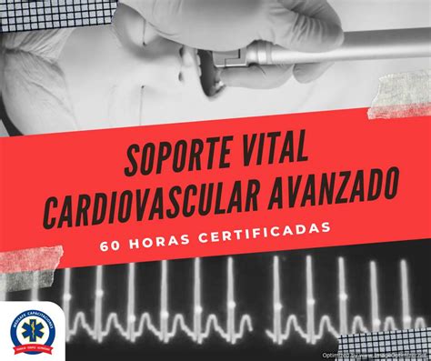 Soporte Vital Cardiovascular Adulto Svca Acls Medsafe Latinoamerica