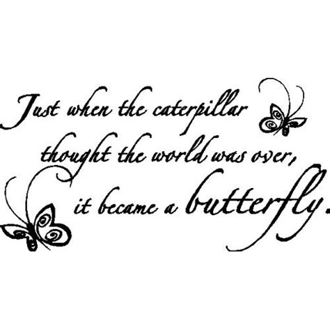 Cute Quotes About Butterflies Quotesgram