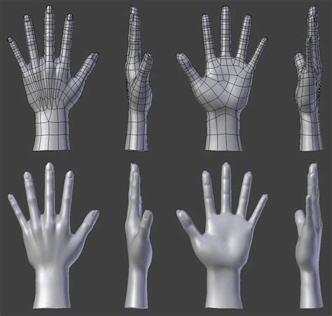 Attachmentphp 1024×975 Anatomy Reference Hand Model Topology