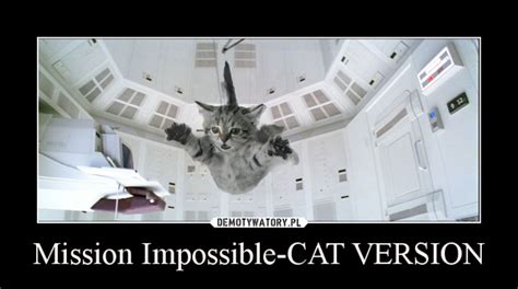 Mission Impossible Cat Version Demotywatorypl