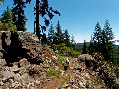 Pct Sky Lakes Wilderness Oregon Trail Running With Ring Flickr