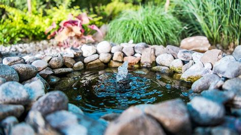 Just Add Water Fountain Pond And Birdbath Ideas For Your Yard