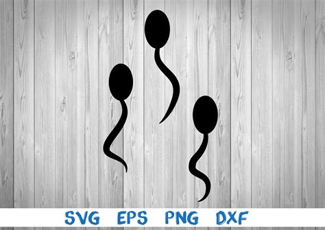 Sperm Sperm Cell Picture Svg Png Eps Dxf Digital Cricut Etsy