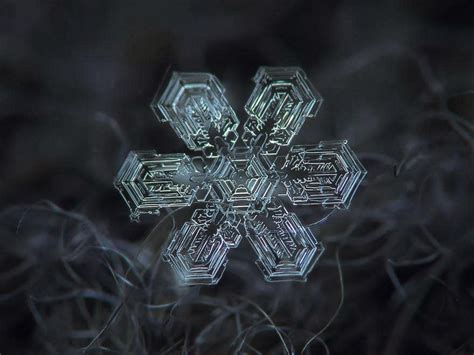 Alexey Kljatov Photographs Stunning Close Ups Of Snowflakes ~ Today