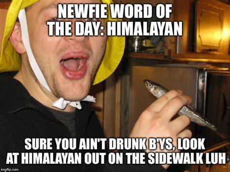 Newfie Word Of Day Imgflip