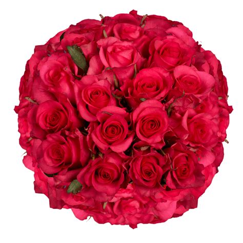150 Hot Pink Roses Globalrose