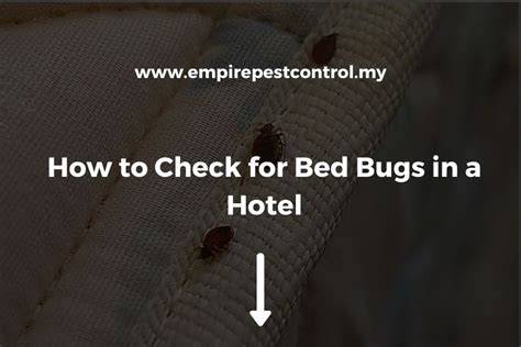 how to properly check for bed bugs in a hotel room