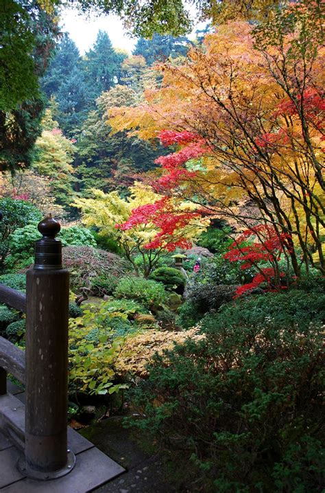 The Intercontinental Gardener A Crowded Stroll Through