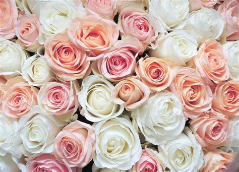 √ Light Pink Roses Background
